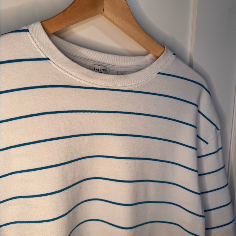 Aritzia White Cropped Tee with Blue Stripes - Picture 3 of 3